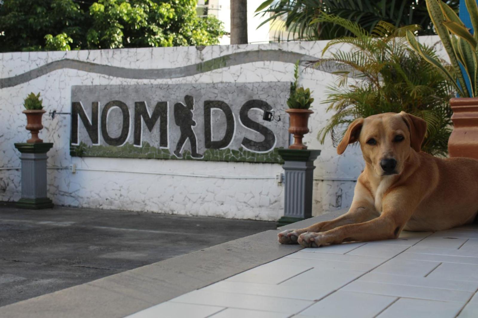Nomads Hostel Multicultural & Coworking Salvador Exteriör bild