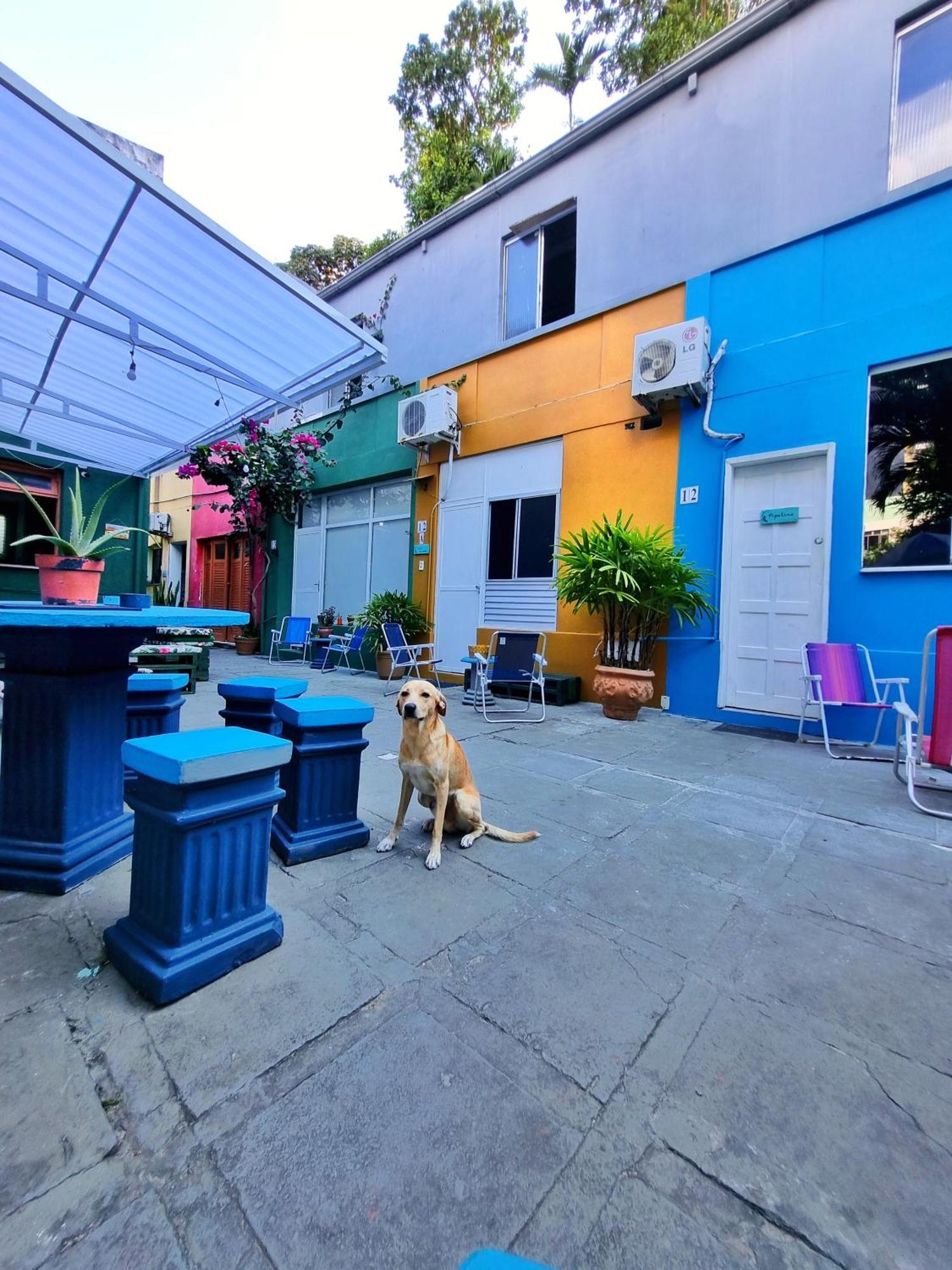 Nomads Hostel Multicultural & Coworking Salvador Exteriör bild